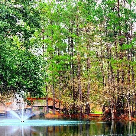 Waterfront Houston Hide Out In A Magical Forest Waller Dış mekan fotoğraf