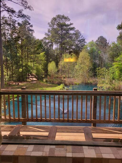 Waterfront Houston Hide Out In A Magical Forest Waller Dış mekan fotoğraf