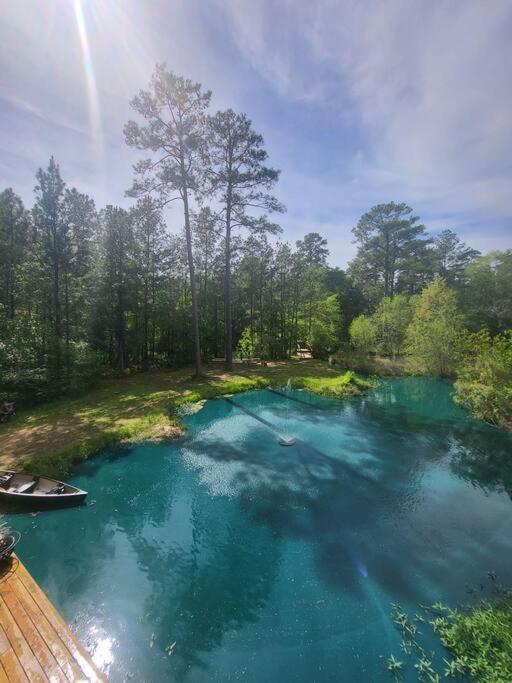Waterfront Houston Hide Out In A Magical Forest Waller Dış mekan fotoğraf